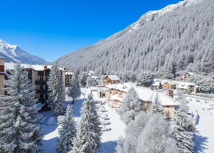 Grand Roc - Campanules 403 - Happy *